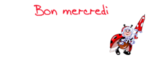 Gif animé Bon mercredi coccinelle